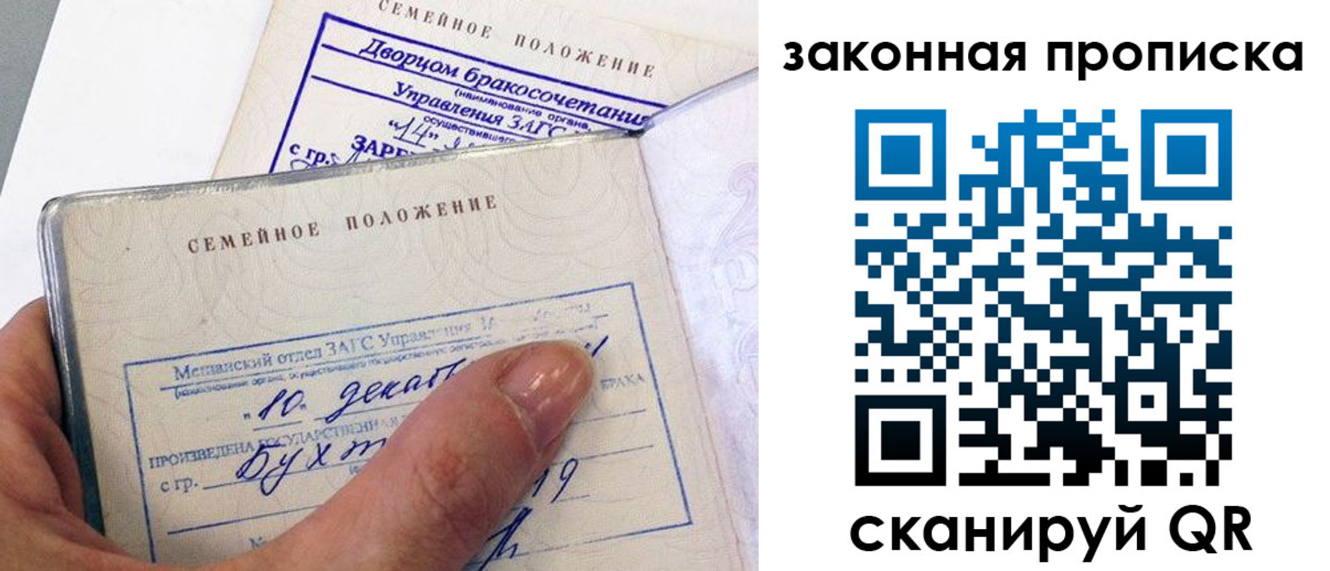 прописка поиск в Сафоново